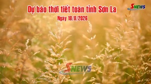 Dự báo thời tiết toàn tỉnh Sơn La ngày 18/8/2026