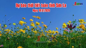 Dự báo thời tiết toàn tỉnh Sơn La ngày 19/8/2026