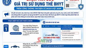 Chủ động tra cứu giá trị sử dụng thẻ BHYT học sinh, sinh viên