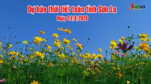 Dự báo thời tiết toàn tỉnh Sơn La ngày 24/8/2026