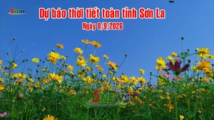 Dự báo thời tiết toàn tỉnh Sơn La ngày 8/9/2026