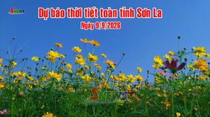 Dự báo thời tiết toàn tỉnh Sơn La ngày 9/9/2026