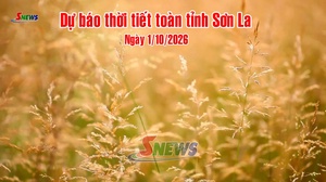 Dự báo thời tiết toàn tỉnh Sơn La ngày 1/10/2026