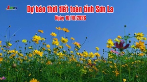 Dự báo thời tiết toàn tỉnh Sơn La ngày 16/10/2026