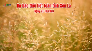 Dự báo thời tiết toàn tỉnh Sơn La ngày 21/10/2026