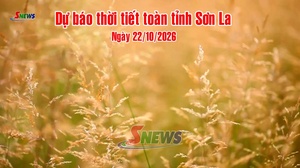 Dự báo thời tiết toàn tỉnh Sơn La ngày 22/10/2026