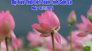 Dự báo thời tiết toàn tỉnh Sơn La ngày 16/11/2025