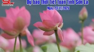 Dự báo thời tiết toàn tỉnh Sơn La ngày 23/11/2025