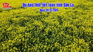 Dự báo thời tiết toàn tỉnh Sơn La ngày 28/12/2025