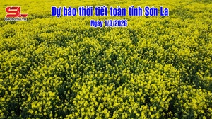 Dự báo thời tiết toàn tỉnh Sơn La ngày 1/3/2026