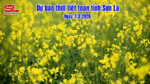 Dự báo thời tiết toàn tỉnh Sơn La ngày 7/3/2026