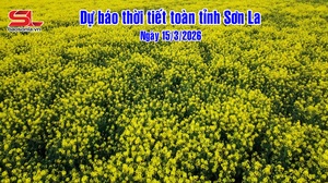 Dự báo thời tiết toàn tỉnh Sơn La ngày 15/3/2026