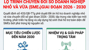 LỘ TRÌNH CHUYỂN ĐỔI SỐ DOANH NGHIỆP NHỎ VÀ VỪA (SMEs) GIAI ĐOẠN 2026 - 2030
