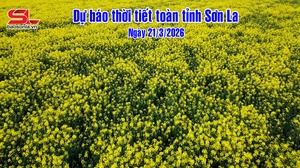 Dự báo thời tiết toàn tỉnh Sơn La ngày 21/03/2026