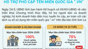 Hỗ trợ phổ cập tên miền quốc gia “.vn”