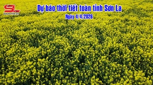 Dự báo thời tiết toàn tỉnh Sơn La ngày 04/4/2026
