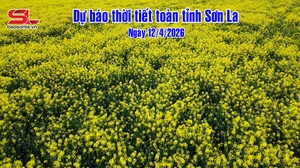 DỰ BÁO THỜI TIẾT TOÀN TỈNH SƠN LA NGÀY 12/04/2026