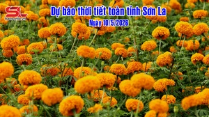 Dự báo thời tiết toàn tỉnh Sơn La ngày 10/5/2026