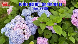 Dự báo thời tiết toàn tỉnh Sơn La ngày 24/5/2026