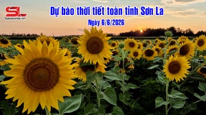 Dự báo thời tiết toàn tỉnh Sơn La ngày 6/6/2026
