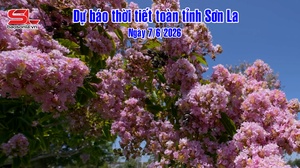 Dự báo thời tiết toàn tỉnh Sơn La ngày 7/6/2026