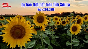 Dự báo thời tiết toàn tỉnh Sơn La ngày 28/6/2026