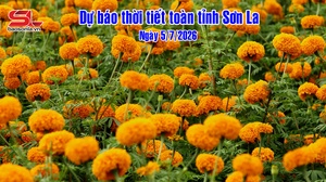 Dự báo thời tiết toàn tỉnh Sơn La ngày 5/7/2026