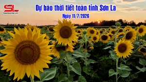 Dự báo thời tiết toàn tỉnh Sơn La ngày 11/7/2026