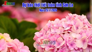 Dự báo thời tiết toàn tỉnh Sơn La ngày 25/7/2026