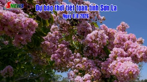 Dự báo thời tiết toàn tỉnh Sơn La ngày 8/8/2026