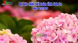 Dự báo thời tiết toàn tỉnh Sơn La ngày 16/8/2026