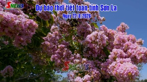 Dự báo thời tiết toàn tỉnh Sơn La ngày 22/8/2026
