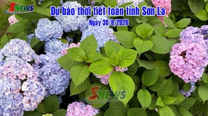 Dự báo thời tiết toàn tỉnh Sơn La ngày 30/8/2026