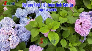 Dự báo thời tiết toàn tỉnh Sơn La ngày 13/9/2026