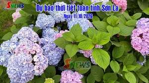 Dự báo thời tiết toàn tỉnh Sơn La ngày 11/10/2026