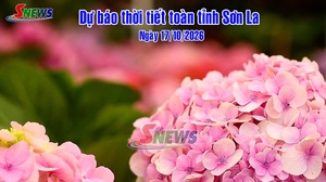 Dự báo thời tiết toàn tỉnh Sơn La ngày 17/10/2026