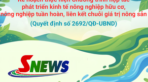 Kế hoạch thực hiện Chương trình hợp tác phát triển kinh tế nông nghiệp hữu cơ, nông nghiệp tuần hoàn, liên kết chuỗi giá trị nông sản