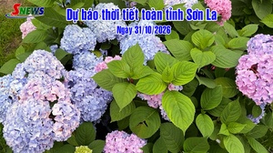 Dự báo thời tiết toàn tỉnh Sơn La ngày 31/10/2026
