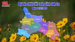 Dự báo thời tiết toàn tỉnh Sơn La ngày 24/11/2024
