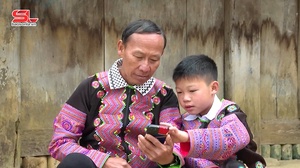 Phong trào bình dân học vụ số