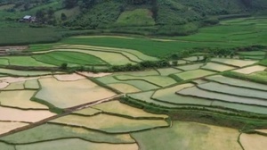 Chủ động phòng tránh mưa lũ