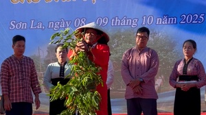 Trích đoạn Lễ hội Kéo cây si, xã Bắc Yên