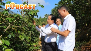Bản tin Podcast ngày 18/10/2025