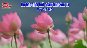 Dự báo thời tiết toàn tỉnh Sơn La ngày 5/11/2025
