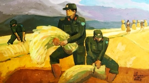 Giúp dân gặt lúa