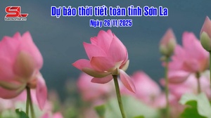 Dự báo thời tiết toàn tỉnh Sơn La ngày 26/11/2025
