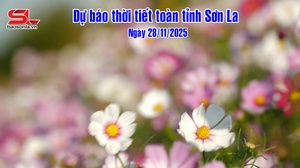 Dự báo thời tiết toàn tỉnh Sơn La ngày 28/11/2025
