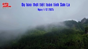 Dự báo thời tiết toàn tỉnh Sơn La ngày 1/12/2025
