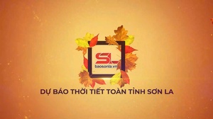 Dự báo thời tiết toàn tỉnh Sơn La ngày 6/12/2025