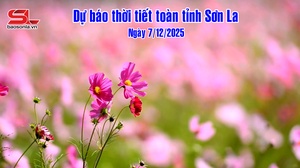 Dự báo thời tiết toàn tỉnh Sơn La ngày 7/12/2025